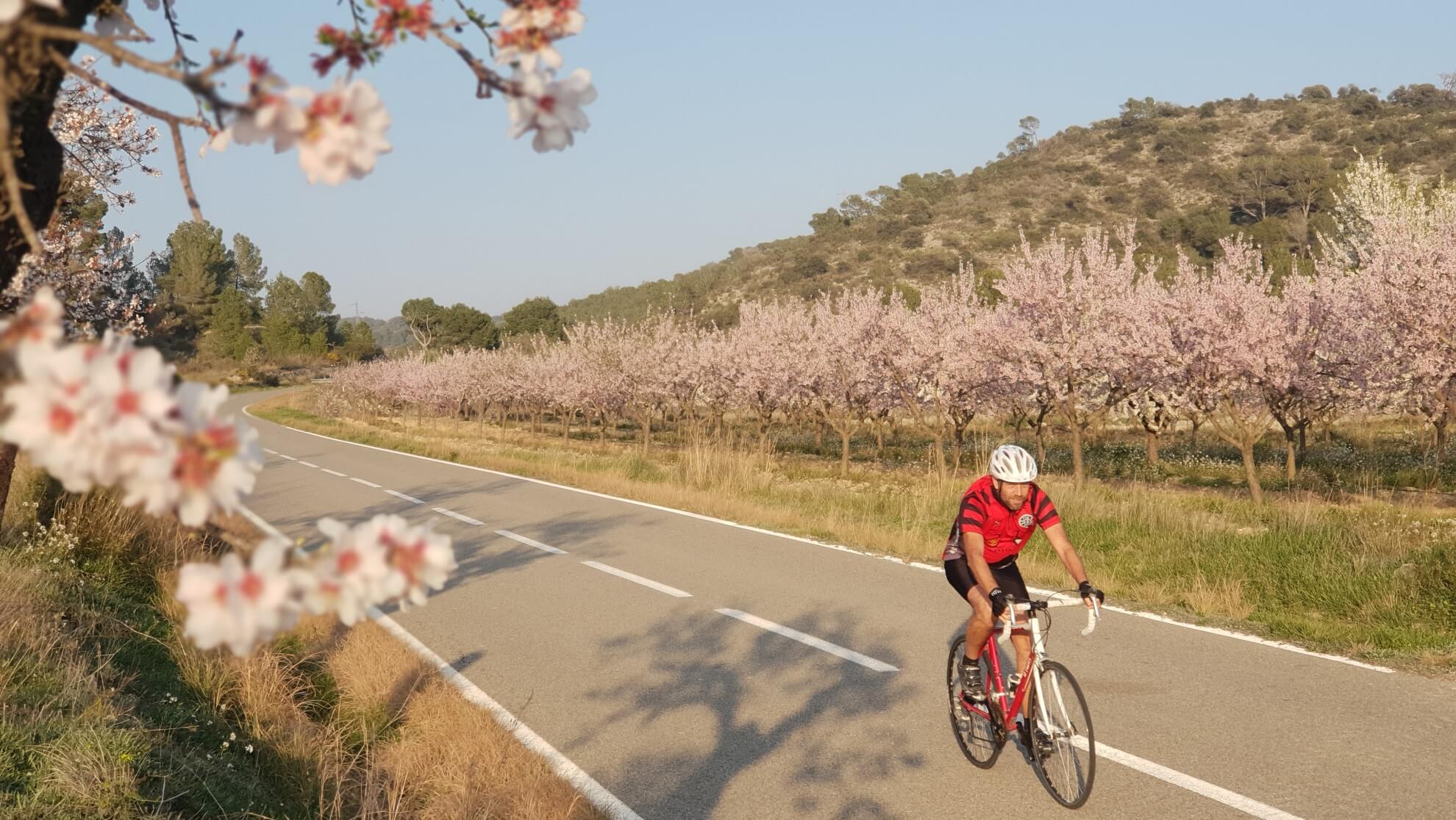 Bike through the blooming almond trees