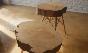 Tables made by centenary cedar tree from the masia